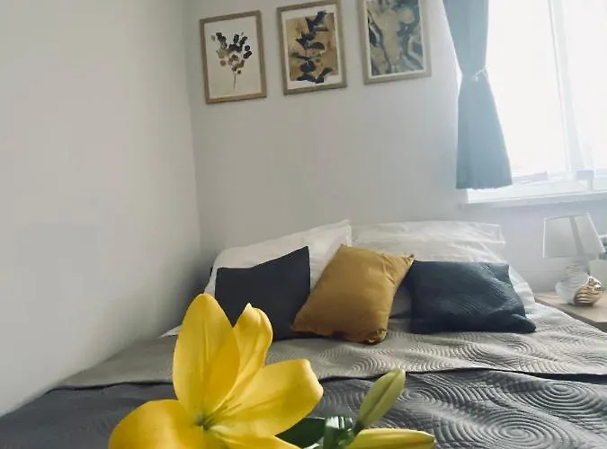 Majka בית אירוח זאטור