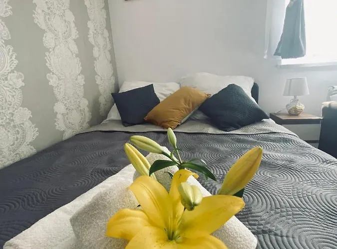 בית אירוח Majka